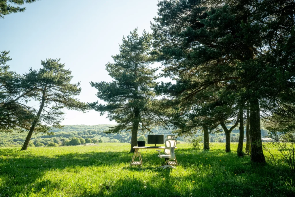 Création de site vitrine dans la Drôme